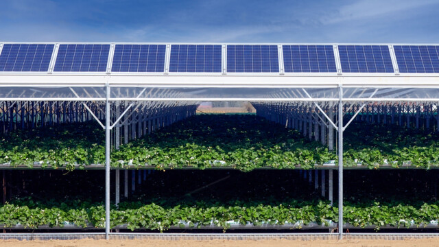 Pannelli solari fotovoltaici in ambiente agricolo